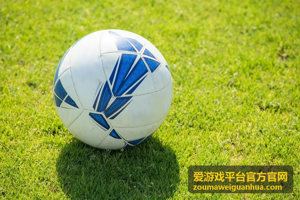 爱游戏平台官方官网操作流程步骤展示