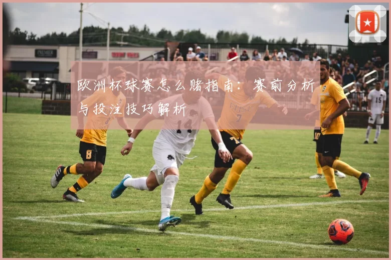 欧洲杯球赛怎么赌指南：赛前分析与投注技巧解析